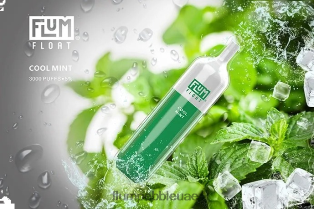 FLUM FLOAT 3000 نفث NNN8P625 FLUM PEBBLE near me نعناع منعش