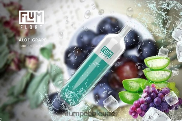 FLUM FLOAT 3000 نفث NNN8P62 FLUM PEBBLE abu dhabi عنب الصبار