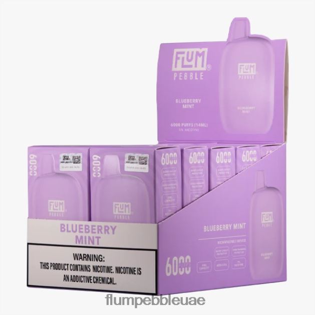 FLUM PEBBLES 6000 بخة 10 عبوات NNN8P618 FLUM PEBBLE vape flavors النعناع التوت