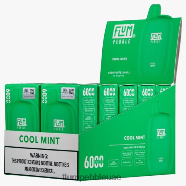 FLUM PEBBLES 6000 بخة 10 عبوات NNN8P626 FLUM PEBBLE nicotine percentage نعناع منعش