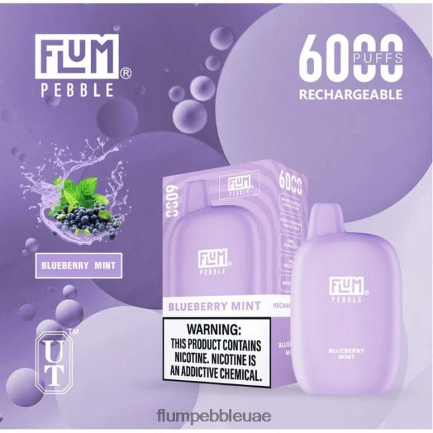 FLUM PEBBLES 6000 نفث NNN8P617 FLUM PEBBLE flavors ranked النعناع التوت