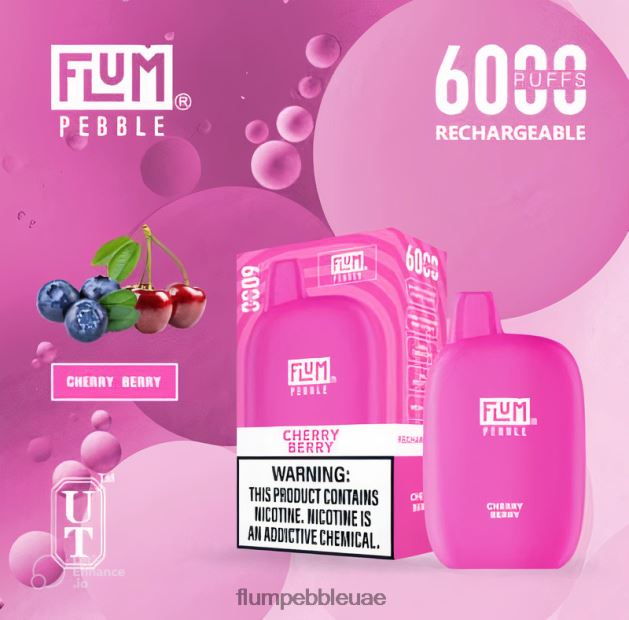 FLUM PEBBLES 6000 نفث NNN8P620 FLUM PEBBLE vape price التوت والكرز
