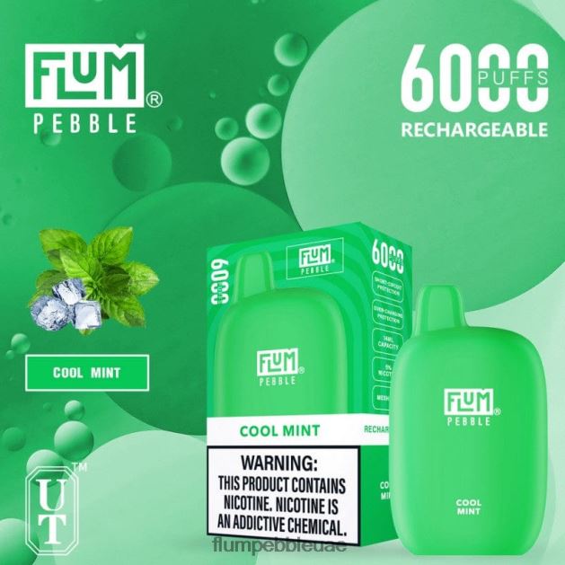 FLUM PEBBLES 6000 نفث NNN8P624 FLUM PEBBLE flavors نعناع منعش