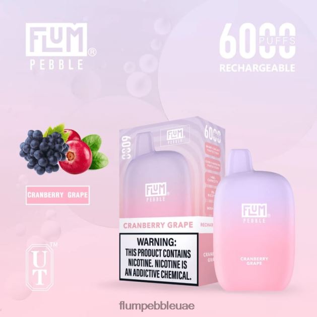 FLUM PEBBLES 6000 نفث NNN8P627 FLUM PEBBLE flavors ranked العنب التوت البري