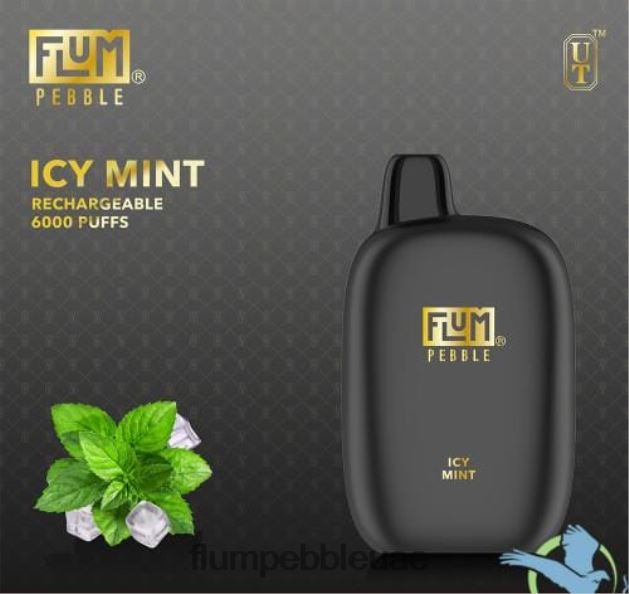FLUM PEBBLES 6000 نفث NNN8P649 FLUM PEBBLE vape review النعناع الجليدي