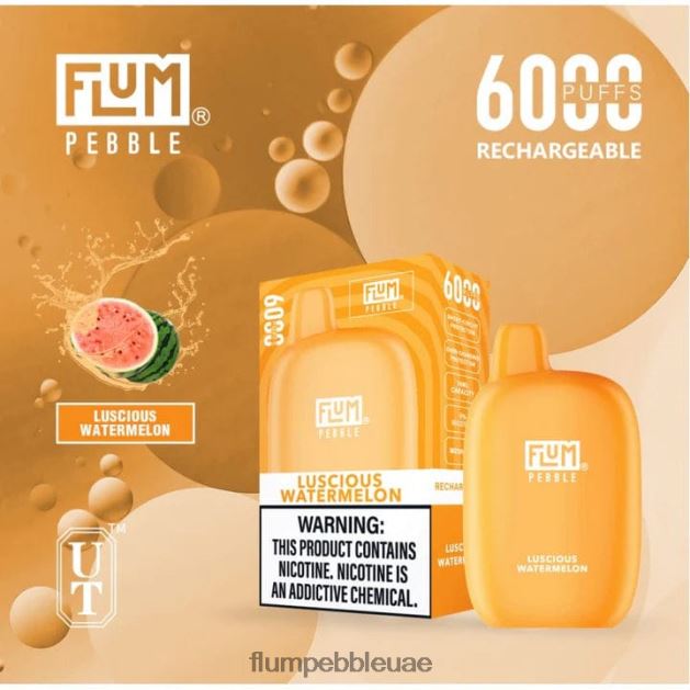FLUM PEBBLES 6000 نفث NNN8P650 FLUM PEBBLE vape price البطيخ فاتنة