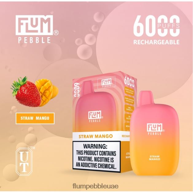 FLUM PEBBLES 6000 نفث NNN8P668 FLUM PEBBLE vape flavors مانجو القش