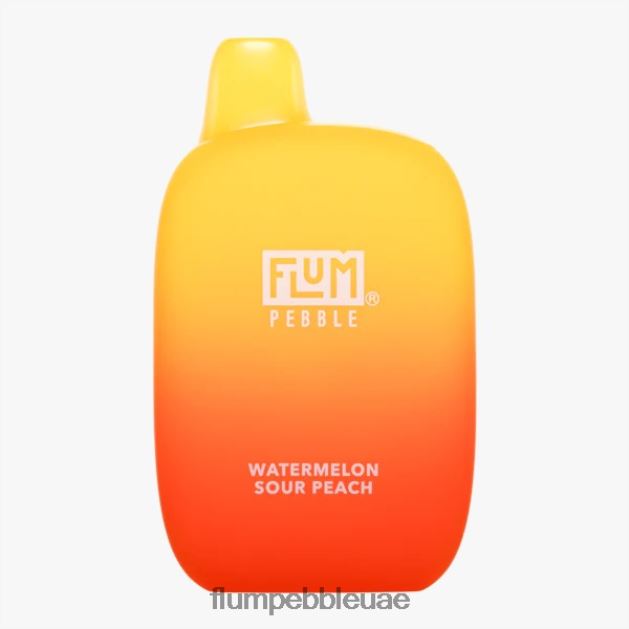 FLUM PEBBLES 6000 نفث NNN8P686 FLUM PEBBLE nicotine percentage البطيخ الخوخ الحامض